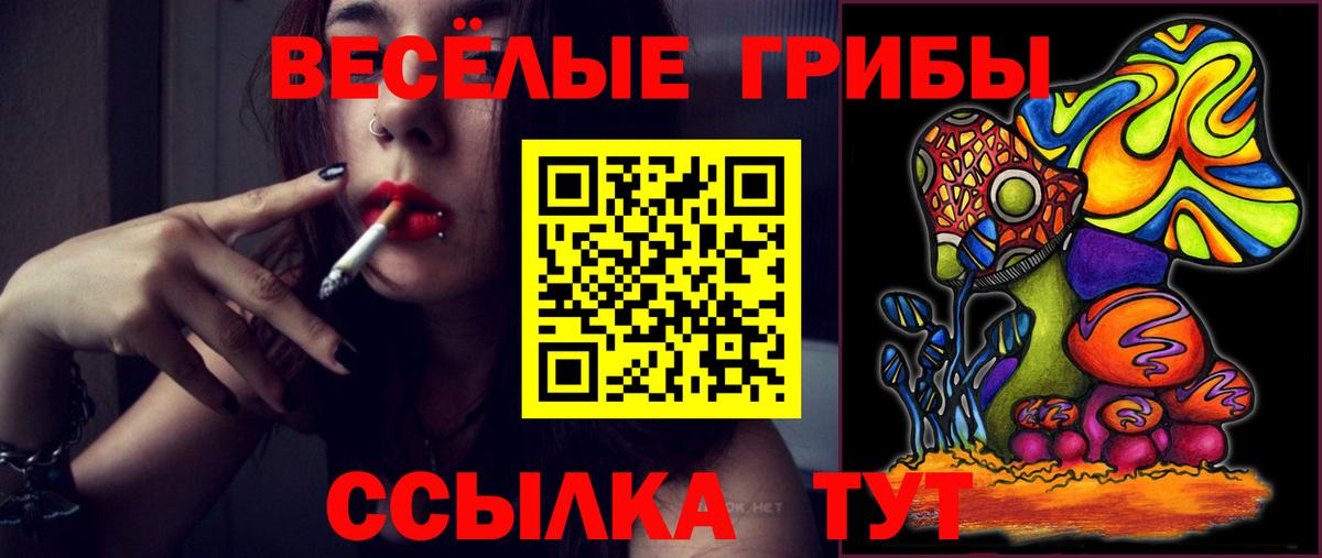 Галлюциногенные грибы Cubensis Коряжма