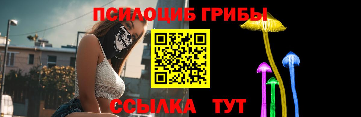 Коряжма  Псилоцибиновые грибы GOLDEN TEACHER  наркошоп  Вход с VPN 